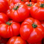 BAEZA Sarl, Paysagiste et Pépinière, Solanum Lycopersicum Merveille des Marchés (Tomate Merveille des Marchés)