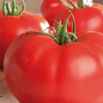 BAEZA Sarl, Paysagiste et Pépinière, Solanum Lycopersicum Supersteack (Tomate Supersteack)